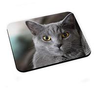 Tapis de Souris Chat Gris Russian Blue Animaux de Compagnie Mignon