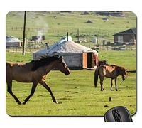 Tapis De Souris, Cheval Cheval Alpha Étalon Animal Nomade Mongolie Gamer Mouse Pad Antidérapante Gaming Mousepad Confort Souris De Gaming pour Pc Souris Professionnels 25X30Cm