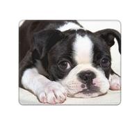 Tapis de Souris, Chien Boston Terrier, Tapis de Souris à Base de Caoutchouc antidérapant, Tapis de Souris étanche 12 × 10 Pouces pour Bureau