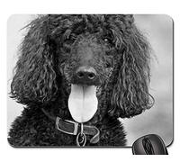 Tapis De Souris, Chien Caniche Beau Caniche Standard Noir Tapis Souris Antidérapante Gamer Mouse Pad Résistant À Usure Souris De Bureau pour Pc Souris Professionnels 25X30Cm