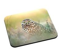 Tapis de souris Chouette cheveche athena animaux nature G