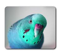 Tapis de Souris Confortable - Perruche Bleu Oiseau Vert 23,5 x 19,6 cm (9,3 x 7,7 Pouces) pour Les Ordinateurs et Ordinateurs Portables, de Bureau, Cadeau, Base antidérapante - RM14566