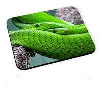Tapis de souris Couple python vert superbe reptiles animaux sauvages nature Vert G