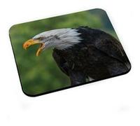Tapis de souris Cri du pygargue à tête blanche / aigle / oiseaux de proie / G