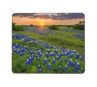 Tapis de souris de jeu 25,4 x 30,5 cm, motif paysages du Texas Bluebonnets, imperméable, antidérapant, en cuir, pour bureau, ordinateur portable et PC