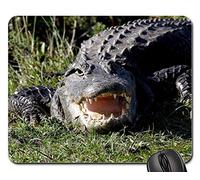 Tapis De Souris De Jeu, Alligator Regarder Faune Nature Tête Oeil Tapis De Souris D'Ordinateur Antidérapante Tapis De Souris Durable Tapis De Bureau pour Souris Ordinateur Pc 25X30Cm