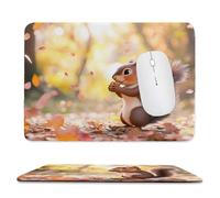 Tapis de Souris de Jeu avec Animaux écureuils 40 x 30 cm, Rectangle Tapis de Clavier Antidérapant avec Bords Cousus pour la Maison et Le Bureau, Lavable en Machine, Déco Bureau, Gifts for Men n-184