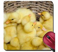 Tapis De Souris De Jeu, Canards dans Le Panier du Delta du Mékong Au Vietnam Tapis De Gaming Portable Tapis De Souris D'Ordinateur Stable Tapis De Souris pour Pc Joueurs Professionnels 25X30Cm