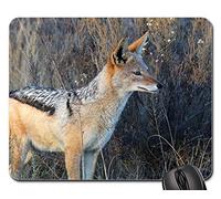 Tapis De Souris De Jeu, Chacal Afrique du Sud Nature Kruger Wild Holiday Mousepad Antidérapante Tapis Souris Résistant À Usure Souris De Bureau pour Ordinateur Professionnels Jeux 25X30Cm