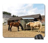 Tapis De Souris De Jeu, Chevaux Tête De Cheval Portraits d'animaux Équitation Tapis Souris Antidérapante Mouse Pad Stable Souris De Bureau pour Pc Souris Jeux 25X30Cm