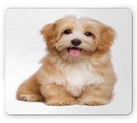 Tapis De Souris De Jeu Chien Bichon Havanais Roux Joyeux avec Expression Animaux Domestiques Tapis Souris Lavable Bureau Tapis Souris, pour Maison, Jeux, 25x30cm