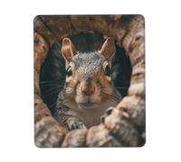 Tapis de Souris de Jeu Écureuil dans Un Trou d'arbre Souris Tapis 10x12in