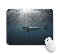 Tapis De Souris De Jeu Grand Requin Blanc en Photographie sous-Marine Bleue Prédateur Bureau Tapis Souris Glissement Facile Tapis De Souris Carré, pour Ordinateur, Jeux, 25 x 30cm
