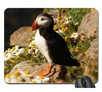 Tapis De Souris De Jeu, Macareux Moine Macareux Moine Faune De L'Atlantique Sauvage Mignon Mouse Pad Antidérapante Tapis De Souris D'Ordinateur Durable sous Main Bureau pour Pc 25X30Cm