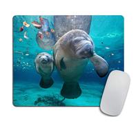 Tapis de souris de jeu personnalis Florida Manatee Mother and Baby, rectangulaire, antid rapant, en caoutchouc, 9,5 x 7,9 pouces (240 mm x 200 m