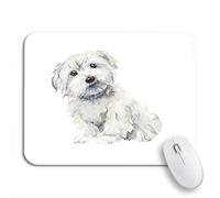 Tapis De Souris De Jeu Portrait De Chiot Maltais Petit Animal Aquarelle Mignon De Race Pure Tapis De Souris D'Ordinateur Moderne Tapis De Souris Carré, pour Jeux, Ordinateur, 25 x 30cm