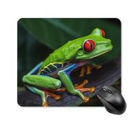 Tapis De Souris De Jeu Rainette Aux Yeux Rouges Base en Caoutchouc Antidérapante Glissement Facile Tapis De Souris D'Ordinateur, pour Ordinateur Portable, Ordinateur, Jeux, 25x30cm