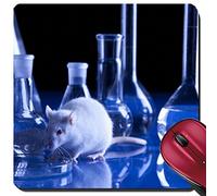 Tapis De Souris De Jeu, Rat Blanc En Laboratoire Tapis De Souris Base En Caoutchouc Tapis Souris Durable Tapis De Souris Gamer Pour Souris Pc 25X30Cm