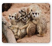 Tapis De Souris De Jeu Suricate Photo Fantaisiste d'animaux Sauvages Se Tenant Les UNS Les Autres Tapis De Souris Carré Résistant À Usure Tapis Souris, pour Jeux, Maison, 25x30cm