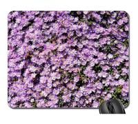 Tapis De Souris De Jeu, Usine De Glace Lampranthus Pink Flower Bloom Fleur Tapis Souris Antidérapante Tapis De Souris Stable Souris De Gaming pour Pc Souris Jeux 25X30Cm