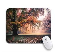 Tapis De Souris De Jeu Vieux Parc D'Automne Jaune En Automne Allemagne Europe Cool Tapis Souris Lavable Tapis De Souris Antidérapant, Pour Ordinateur, Maison, 25 x 30cm