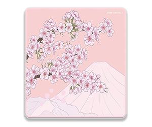 Tapis de Souris de Jeu X-Raypad Aqua Control 2 Sakura, Ultra-Haute précision avec Une Vitesse et Une capacité de contrôle parfaites, conçu pour Les Joueurs Fps avec de Faibles exigences en DPI