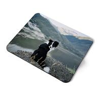 Tapis de souris d'ordinateur - Border Collie Sheep Dog Home Office PC Bureau Accessoire de bureau en tissu souple Grand ordinateur portable 5 mm Imprimé Art ergonomique #12385