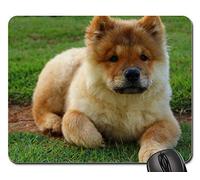 Tapis De Souris D'Ordinateur, Chien Animal Chow Chow Recherche Race De Chien De Compagnie Tapis De Souris Gamer Antidérapante Tapis De Souris Bords Cousus sous Main Bureau pour Jeux 25X30Cm