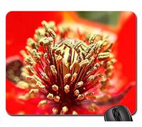 Tapis De Souris D'Ordinateur, Fleur Nature Gros Plan Flore Jardin Extérieur Mousepad Antidérapante Tapis Souris Durable Souris De Bureau pour Pc Ordinateur Souris 25X30Cm