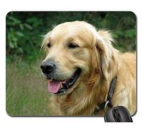 Tapis De Souris D'Ordinateur, Golden Retriever Chien Animal Animal De Compagnie Canin Close-Up Tapis De Souris Gamer Antidérapante Gaming Mousepad Durable sous Main Bureau pour Jeux 25X30Cm