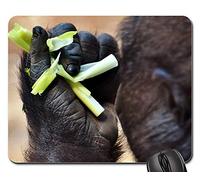 Tapis De Souris D'Ordinateur, Gorille Nourrissant Les Gourmands Affamés du Zoo Hellabrunn Gaming Mousepad Antidérapante Tapis De Souris Bords Cousus Tapis De Gaming pour Ordinateur 25X30Cm