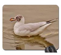 Tapis De Souris D'Ordinateur, Mouette Eau Lac Manger Nourrir Pain Monde Animal Tapis De Souris Antidérapante Tapis Souris Bords Cousus Tapis De Gaming pour Pc Souris Jeux 25X30Cm