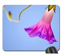 Tapis De Souris D'Ordinateur, Nature Fleur Été Couleur Vivante Belle Tapis De Souris Antidérapante Mouse Pad Résistant À Usure sous Main Bureau pour Pc Souris Ordinateur 25X30Cm