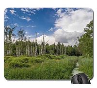 Tapis De Souris D'Ordinateur, Paysage Nature Arbres Arbre Bach Idyllique Tapis Souris Antidérapante Tapis De Souris Gamer Confort Souris De Bureau pour Professionnels Ordinateur Pc 25X30Cm