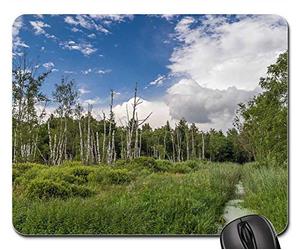 Tapis De Souris D'Ordinateur, Paysage Nature Arbres Arbre Bach Idyllique Tapis Souris Antidérapante Tapis De Souris Gamer Confort Souris De Bureau pour Professionnels Ordinateur Pc 25X30Cm