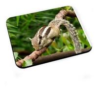 Tapis de souris écureuil chipmunk dans la forêt vie sauvage animal G