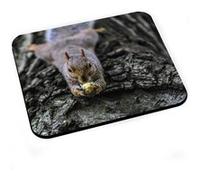 Tapis de souris écureuil roux mange une noisette sur un tronc G