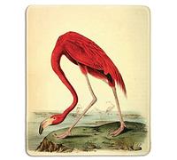 Tapis de souris en caoutchouc naturel avec célèbre peinture artistique du flamant rose américain par John James Audubon - Bords cousus - 30 x 24,9 cm
