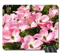 Tapis De Souris, Fleurs De Cornouiller Cornus Cornus Kousa Rose Tapis De Souris Gamer Antidérapante Tapis Souris Doux Tapis De Bureau pour Professionnels Pc Jeux 25X30Cm