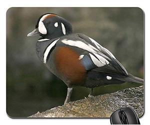 Tapis De Souris Gamer, Arlequin Canard Mâle Oiseau Nature Faune Portrait Gamer Mouse Pad Antidérapante Tapis De Souris De Jeu Portable Souris De Bureau pour Ordinateur Pc Souris 25X30Cm