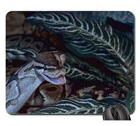 Tapis De Souris Gamer, Ball Python Snakehead Snappy Python Regius en Quête De Nourriture Tapis De Souris Antidérapante Tapis Souris Confort Tapis De Gaming pour Souris Jeux Ordinateur 25X30Cm
