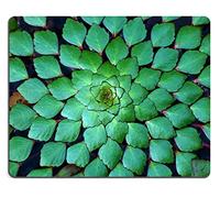 Tapis De Souris Gamer, Contexte De La Châtaigne d'eau Ludwigia Sedioides Hora Tapis De Souris D'Ordinateur Base en Caoutchouc Mousepad Antidérapante Tapis Souris pour Bureau Souris 25X30Cm