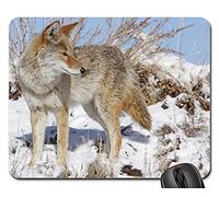 Tapis De Souris Gamer, Coyote Neige Hiver Faune Nature Predator Mousepad Antidérapante Tapis Souris Confort Souris De Bureau pour Ordinateur Pc Professionnels 25X30Cm