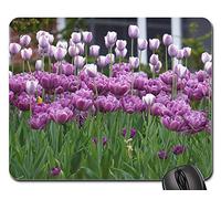 Tapis De Souris Gamer, Fleur Pourpre Tulipe Plantation Nature Feu Tapis De Souris Antidérapante Tapis Souris Confort Souris De Bureau pour Pc Ordinateur Souris 25X30Cm