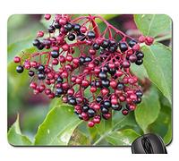 Tapis De Souris Gamer, Holler Floraison Rouge Nature Bio Flore Plante Mouse Pad Antidérapante Tapis Souris Bords Cousus Souris De Bureau pour Pc Souris Jeux 25X30Cm