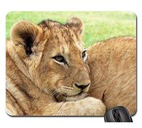 Tapis De Souris Gamer, Lion Lionceau Cub Gros Chat Câlin Faune Afrique Tapis De Souris De Jeu Antidérapante Gaming Mousepad Confort Souris De Bureau pour Ordinateur Souris 25X30Cm