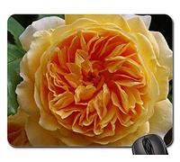 Tapis De Souris Gamer, Roses Princesse Héritière Margareta Roses Anglaise Gaming Mousepad Antidérapante Tapis De Souris De Jeu Stable Souris De Gaming pour Jeux Souris Professionnels 25X30Cm