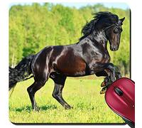 Tapis De Souris Gaming, Un Cheval Frison Noir Court Au Galop en Été Gaming Mousepad Base en Caoutchouc Tapis De Souris Antidérapante Souris De Bureau pour Ordinateur Bureau 25X30Cm