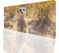 Tapis de Souris Gaming XXL Grand Mousepad 1000x500x3mm, Grand Tapis de Bureau sous Main avec Base en Caoutchouc antidérapante pour PC Gamer, Améliore la précision et la Vitesse Animal PjY7503 D-G