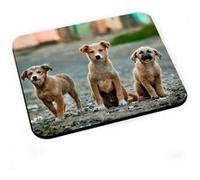 Tapis de souris Gang de chiots bebes chiens marron creme mignon G